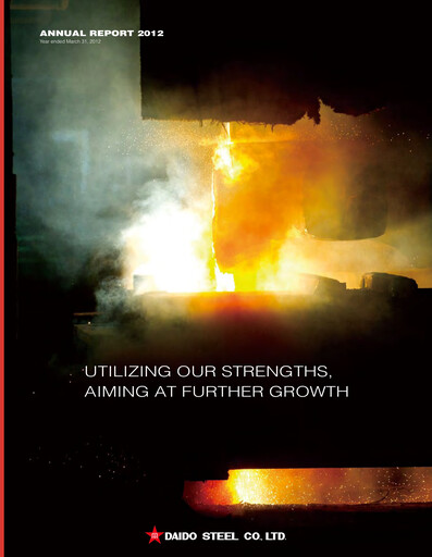 Thumbnail Daido Steel Annual Report 2012