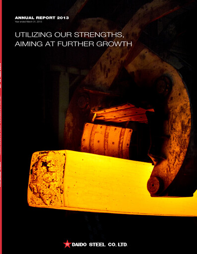 Thumbnail Daido Steel Annual Report 2013