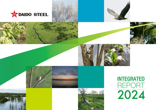 Thumbnail Daido Steel Annual Report 2024