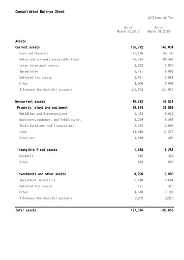 Thumbnail Mitani Corporation Financial Statement fy2013