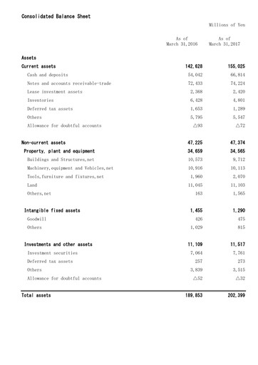 Thumbnail Mitani Corporation Financial Statement fy2017