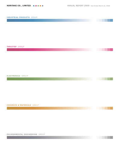 Vorschaubild Noritake Jahresbericht 2009