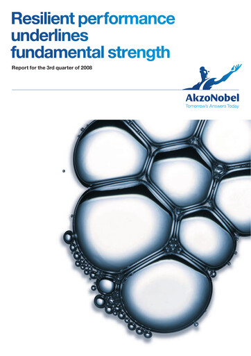 Miniature AkzoNobel
 Rapport trimestriel 2008-q3