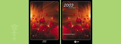 Thumbnail EDP Group Sustainability Report 2003