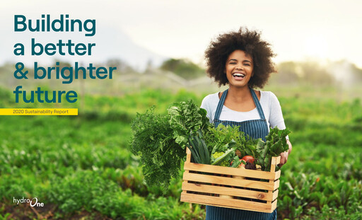 Thumbnail Hydro One
 Sustainability Report 2020