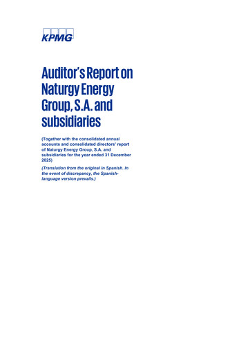 Thumbnail Naturgy Financial Statement 2025