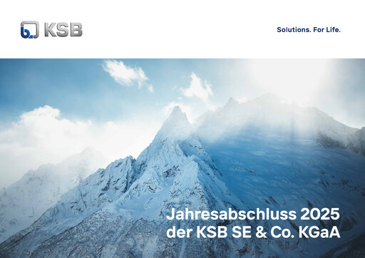 Thumbnail KSB ltd Financial Statement 2025