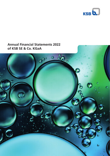 Thumbnail KSB ltd Financial Statement 2022