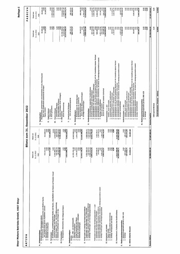 Thumbnail Steyr Motors AG Financial Statement 2022