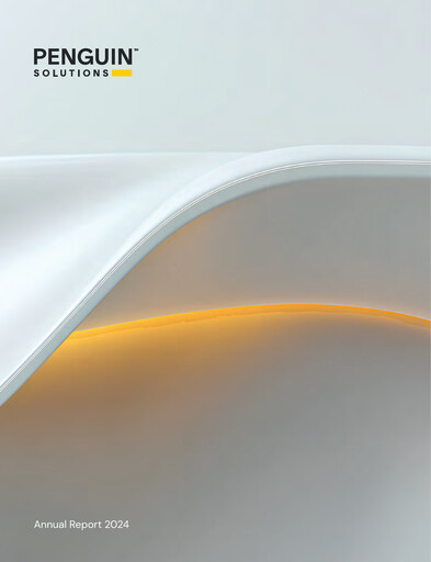 Thumbnail Penguin Solutions Annual Report 2024