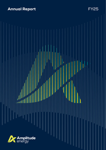 Thumbnail Amplitude Energy Annual Report 2025