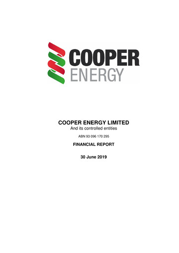 Thumbnail Amplitude Energy Financial Report 2019