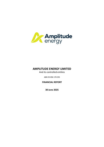 Thumbnail Amplitude Energy Financial Report 2025