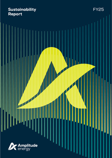 Thumbnail Amplitude Energy Sustainability Report 2025