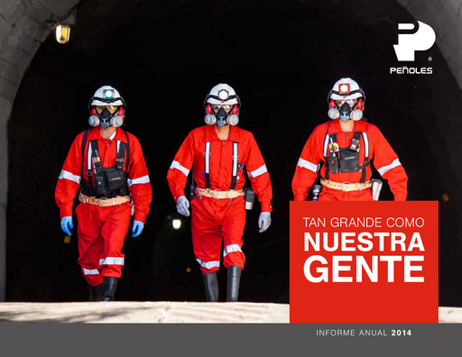Miniature Industrias Peñoles Rapport annuel 2014