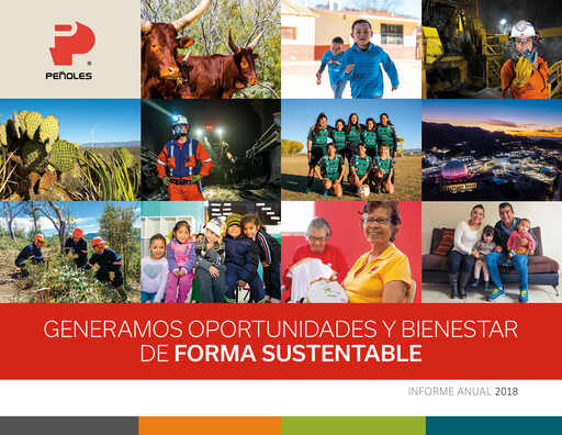 Miniature Industrias Peñoles Rapport annuel 2018