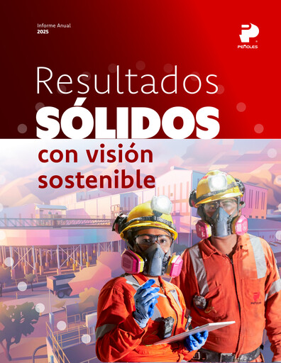 Miniature Industrias Peñoles Rapport annuel 2025