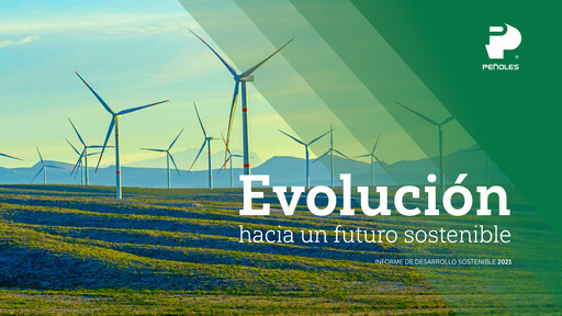 Thumbnail Industrias Peñoles Sustainability Report 2021