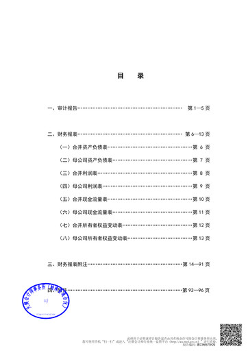 Thumbnail Cambricon Technologies Financial Statement 2022