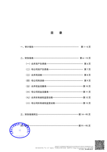 Thumbnail Cambricon Technologies Financial Statement 2024