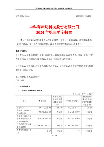 Thumbnail Cambricon Technologies Quarterly Report 2024-q3