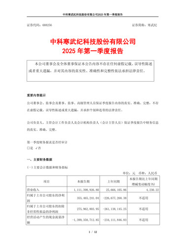 Thumbnail Cambricon Technologies Quarterly Report 2025-q1