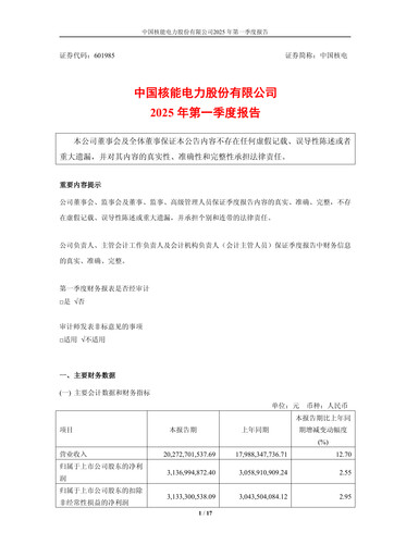 Thumbnail China National Nuclear Power Quarterly Report 2025-q1