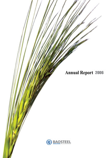 Miniature Baosteel Rapport annuel 2006