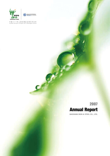 Miniature Baosteel Rapport annuel 2007