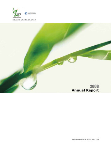 Miniature Baosteel Rapport annuel 2008