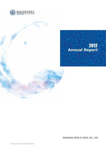 Miniature Baosteel Rapport annuel 2012