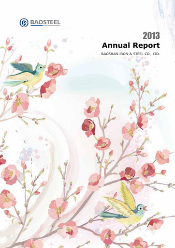 Miniature Baosteel Rapport annuel 2013