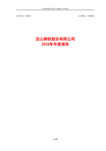 Thumbnail Baosteel Annual Report 2025