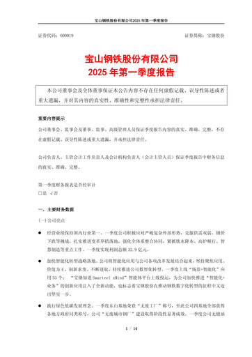 Thumbnail Baosteel Quarterly Report 2025-q1