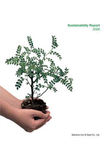 Thumbnail Baosteel Sustainability Report 2006