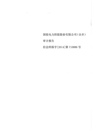 Thumbnail SDIC Power Holdings Financial Statement 2013