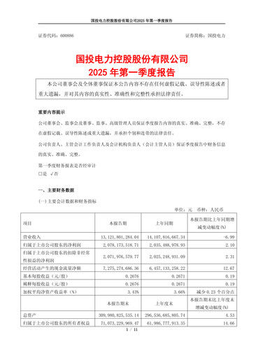 Thumbnail SDIC Power Holdings Quarterly Report 2025-q1