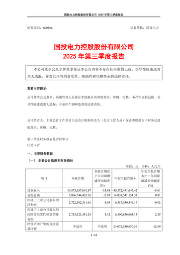Thumbnail SDIC Power Holdings Quarterly Report 2025-q3