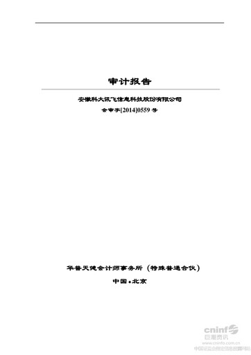 Thumbnail iFLYTEK Financial Statement 2013