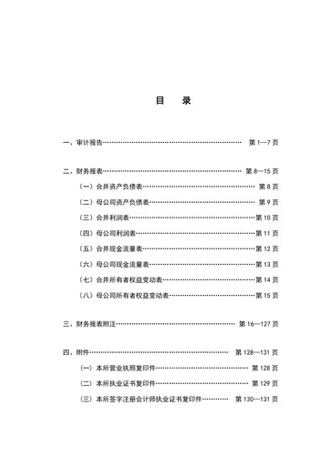Thumbnail Lens Technology Financial Statement 2022