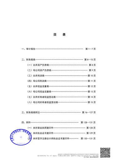 Thumbnail Lens Technology Financial Statement 2023