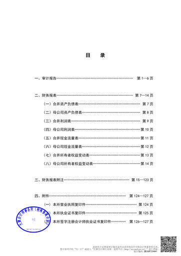 Thumbnail Lens Technology Financial Statement 2025
