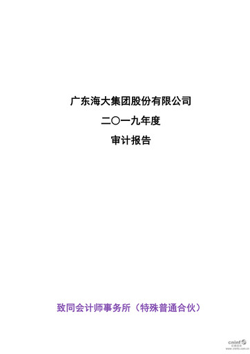 Thumbnail Guangdong HAID Group Financial Statement 2019
