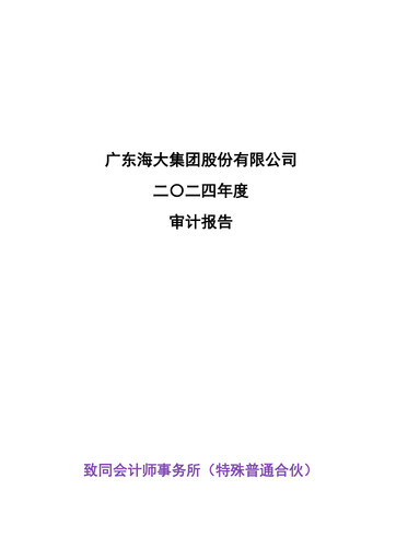 Thumbnail Guangdong HAID Group Financial Statement 2024