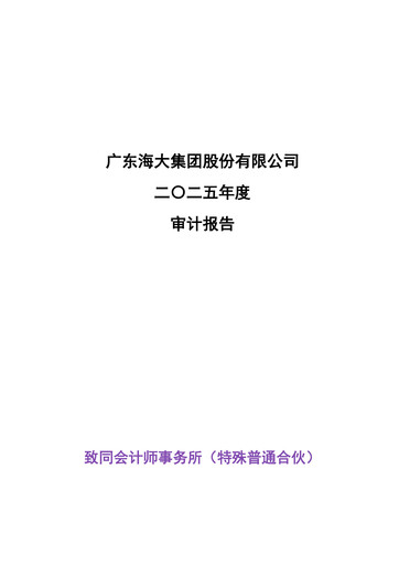 Thumbnail Guangdong HAID Group Financial Statement 2025