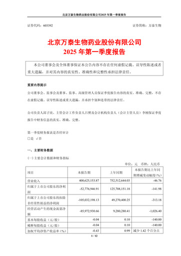 Thumbnail Beijing Wantai Biological Pharmacy Enterprise Quarterly Report 2025-q1