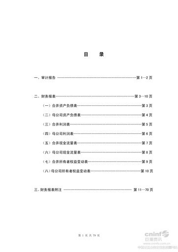 Thumbnail Rongsheng Petrochemical Financial Statement 2012