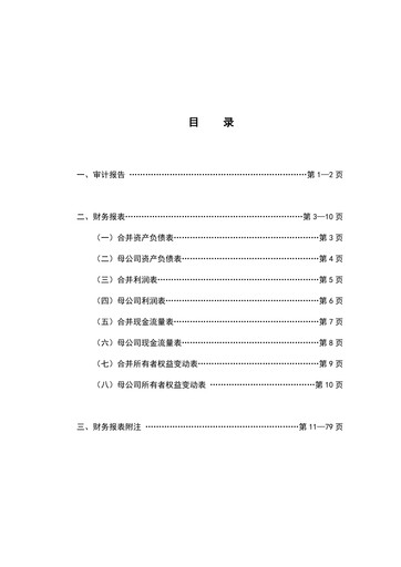 Thumbnail Rongsheng Petrochemical Financial Statement 2016