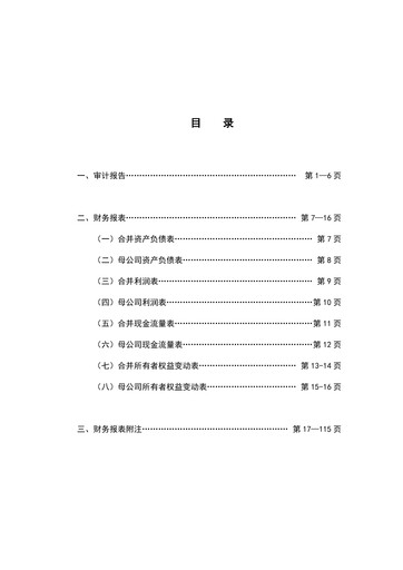 Thumbnail Rongsheng Petrochemical Financial Statement 2022