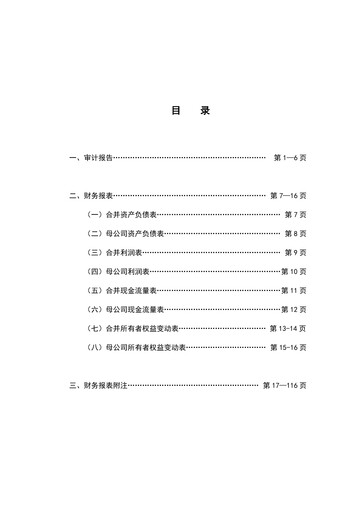 Thumbnail Rongsheng Petrochemical Financial Statement 2024